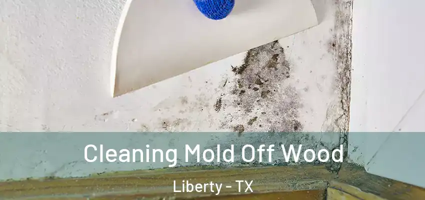 Cleaning Mold Off Wood Liberty - TX