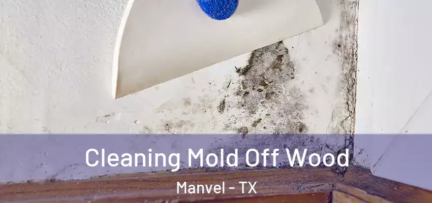 Cleaning Mold Off Wood Manvel - TX