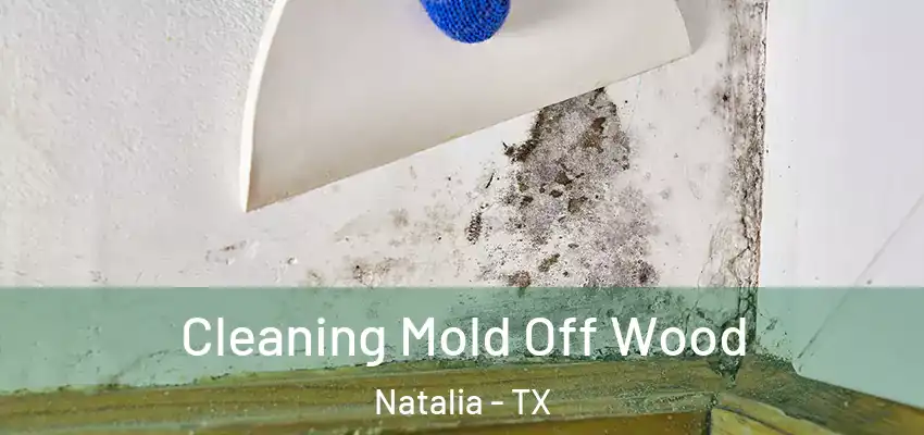 Cleaning Mold Off Wood Natalia - TX