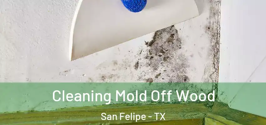 Cleaning Mold Off Wood San Felipe - TX
