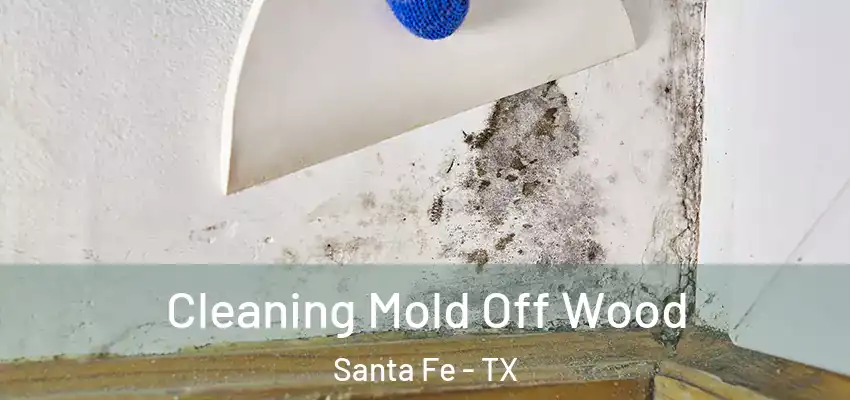 Cleaning Mold Off Wood Santa Fe - TX