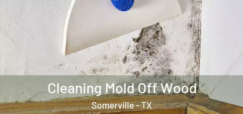  Cleaning Mold Off Wood Somerville - TX