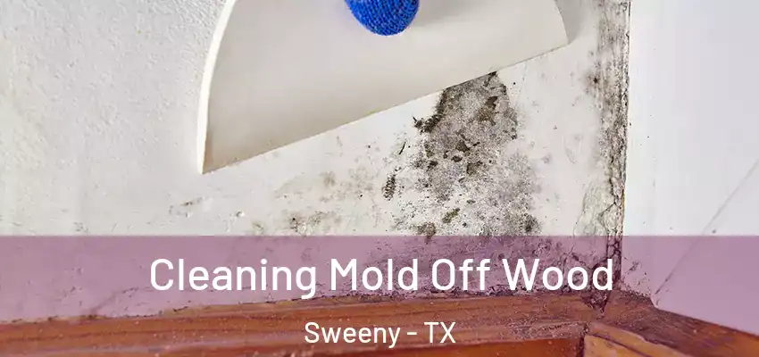  Cleaning Mold Off Wood Sweeny - TX