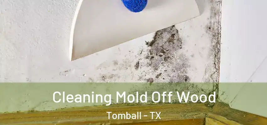 Cleaning Mold Off Wood Tomball - TX