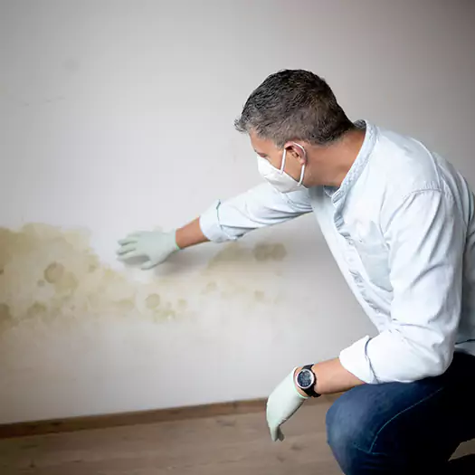Trusted Mold Remediation and Removal Experts in Conroe, TX