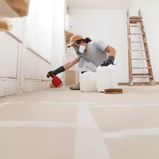 Reliable Mold Stain Remover Specialists in Conroe, TX