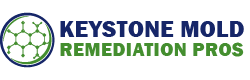 Keystone Mold Remediation Pros