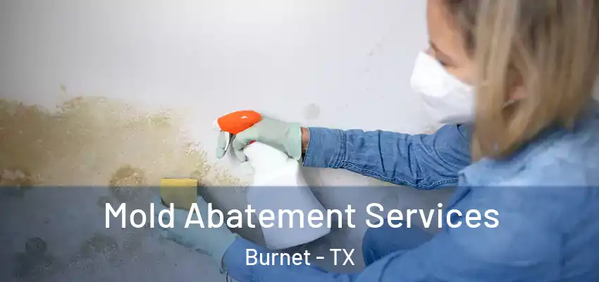  Mold Abatement Services Burnet - TX