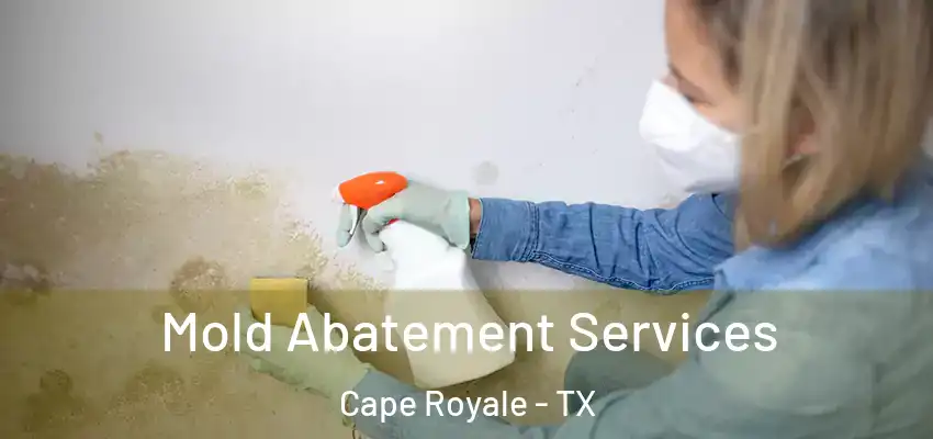 Mold Abatement Services Cape Royale - TX