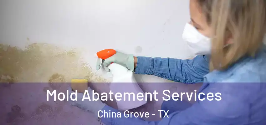Mold Abatement Services China Grove - TX