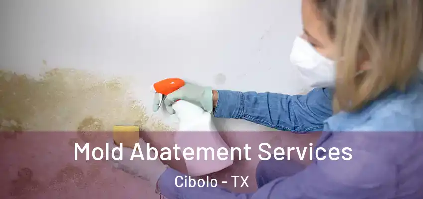 Mold Abatement Services Cibolo - TX