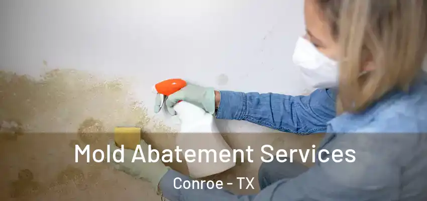 Mold Abatement Services Conroe - TX