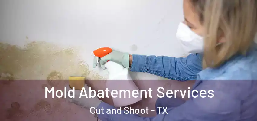 Mold Abatement Services Cut and Shoot - TX