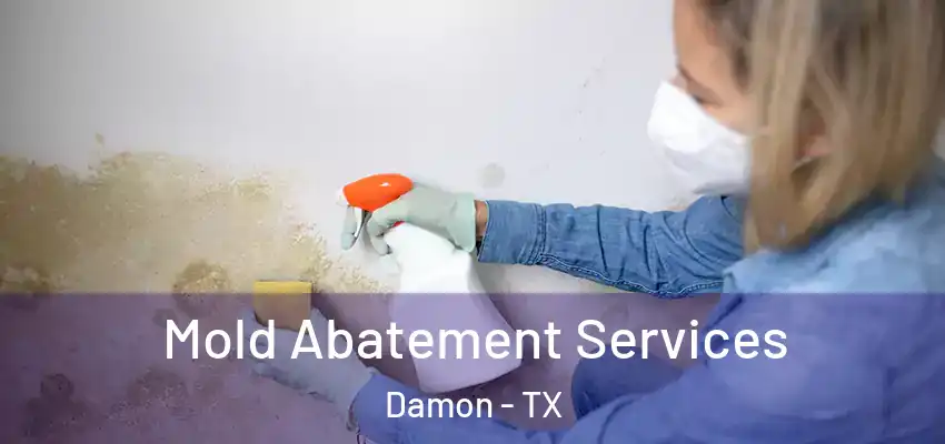  Mold Abatement Services Damon - TX