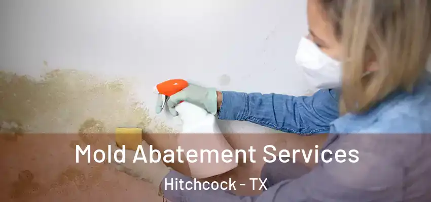 Mold Abatement Services Hitchcock - TX