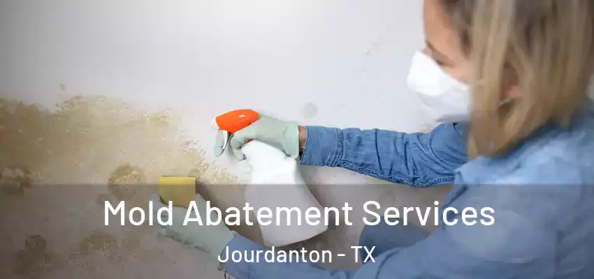  Mold Abatement Services Jourdanton - TX