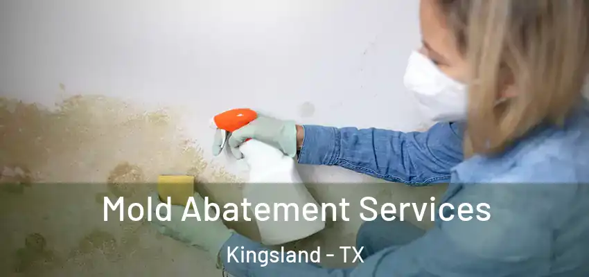  Mold Abatement Services Kingsland - TX