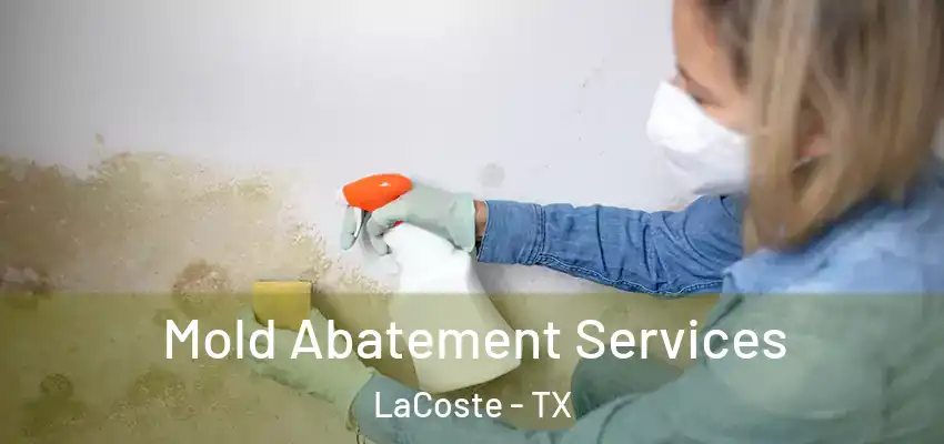 Mold Abatement Services LaCoste - TX