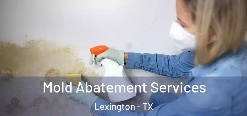  Mold Abatement Services Lexington - TX