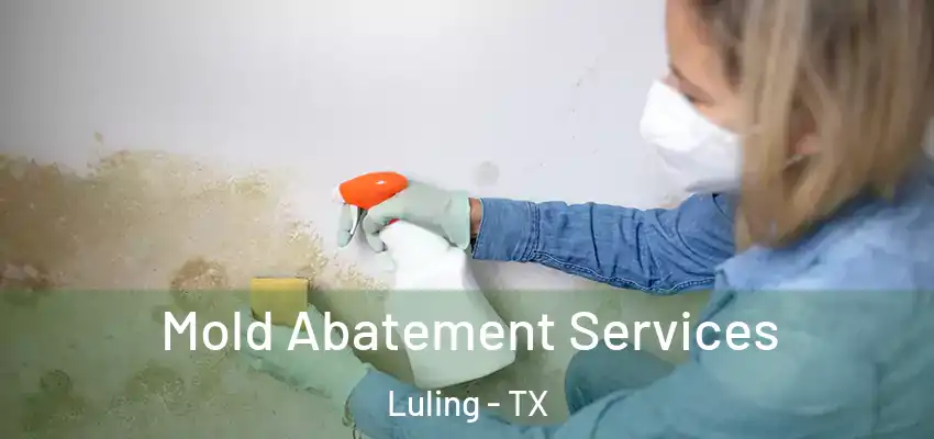  Mold Abatement Services Luling - TX
