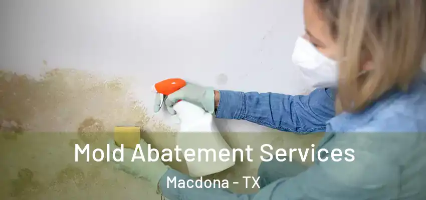  Mold Abatement Services Macdona - TX