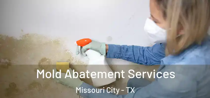 Mold Abatement Services Missouri City - TX