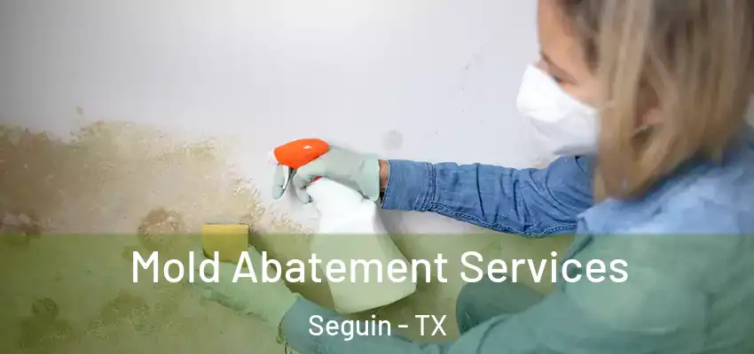  Mold Abatement Services Seguin - TX