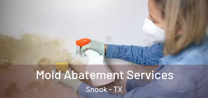  Mold Abatement Services Snook - TX