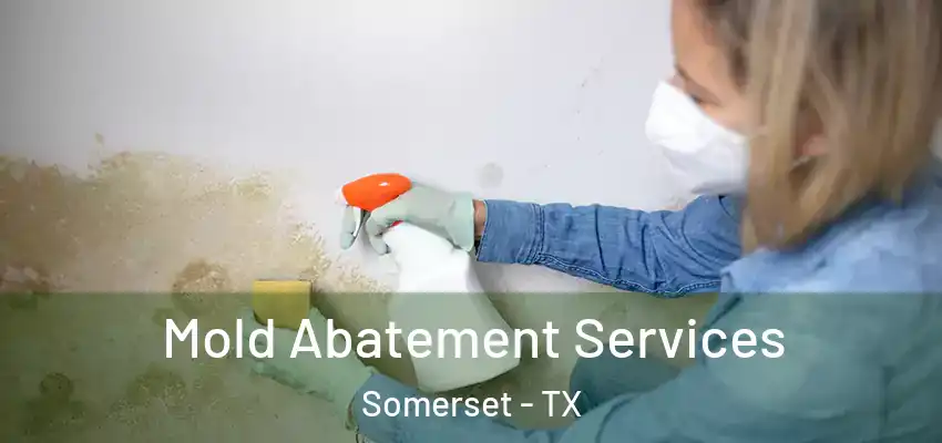  Mold Abatement Services Somerset - TX