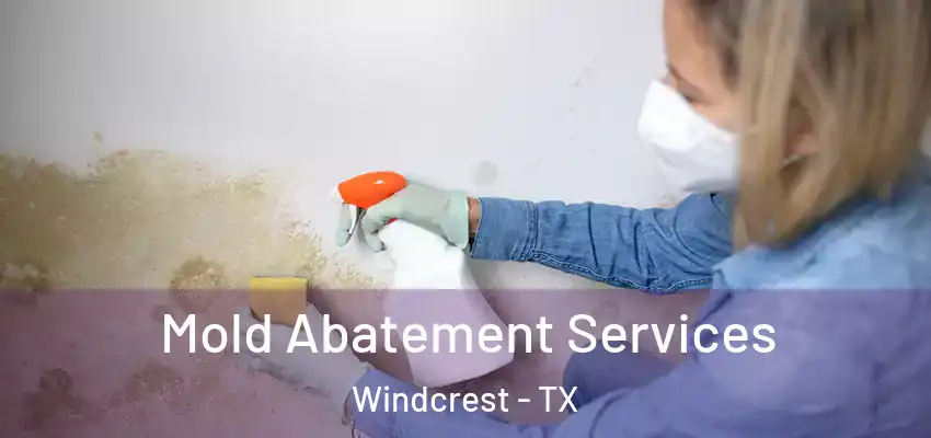  Mold Abatement Services Windcrest - TX