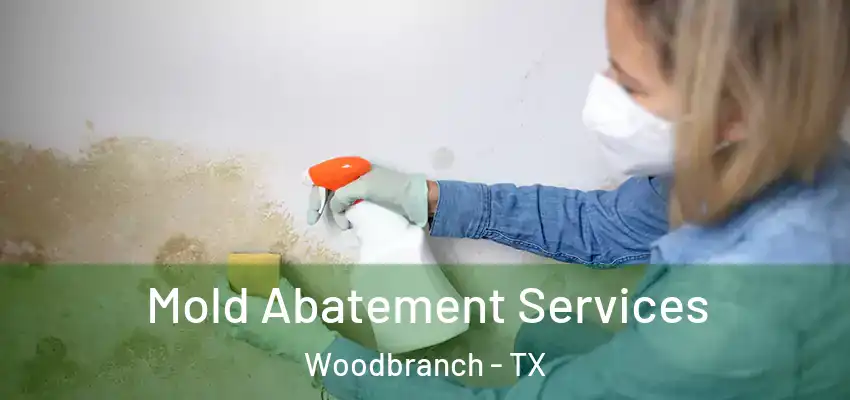  Mold Abatement Services Woodbranch - TX