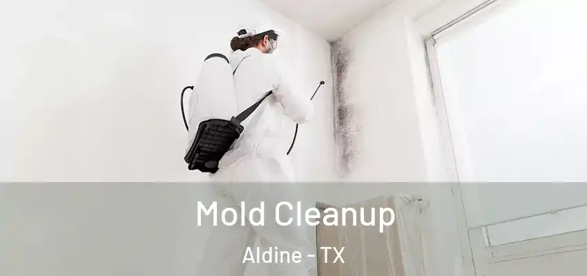 Mold Cleanup Aldine - TX