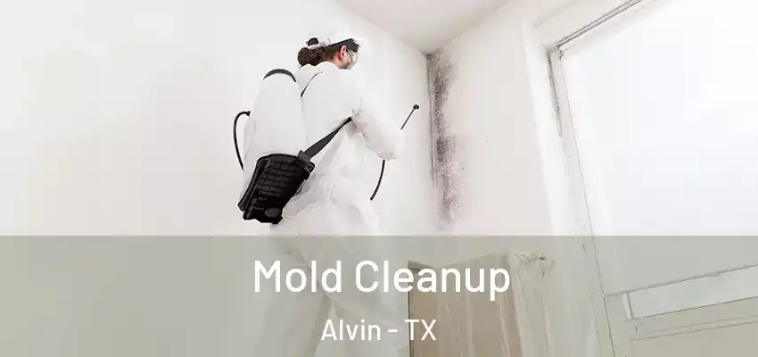  Mold Cleanup Alvin - TX