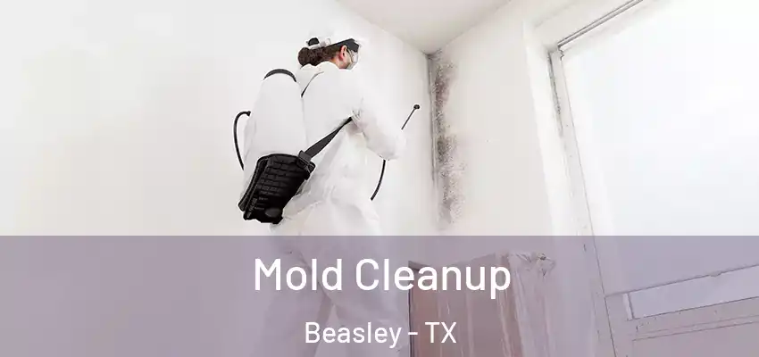 Mold Cleanup Beasley - TX