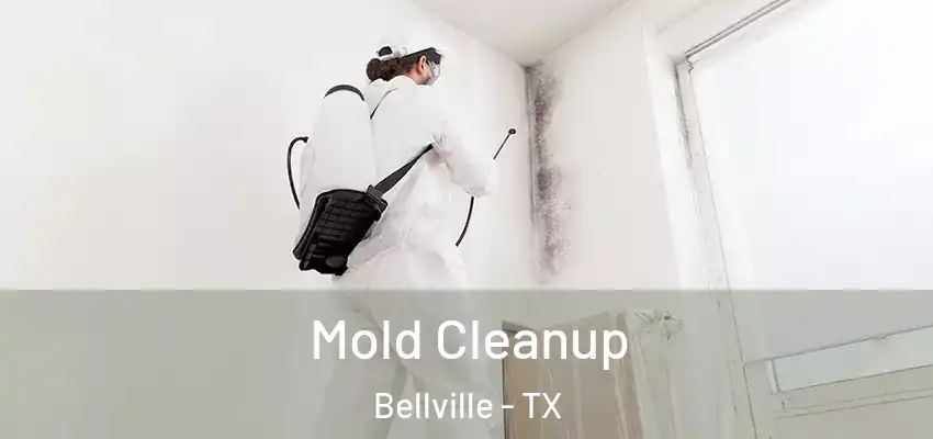  Mold Cleanup Bellville - TX