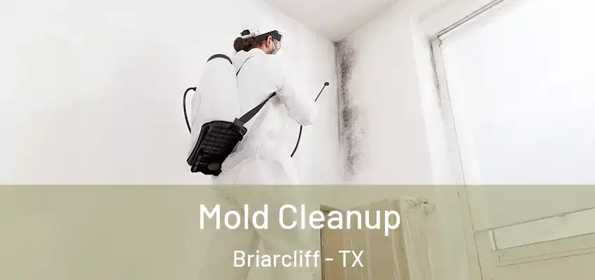  Mold Cleanup Briarcliff - TX