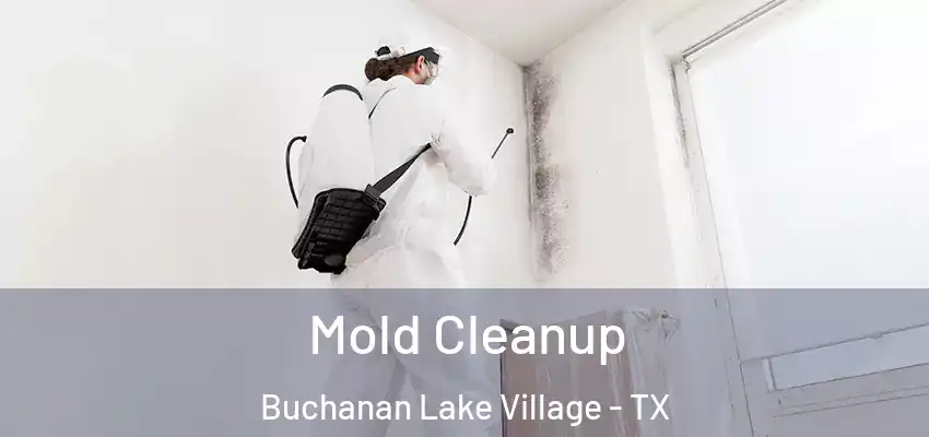 Mold Cleanup Buchanan Lake Village - TX