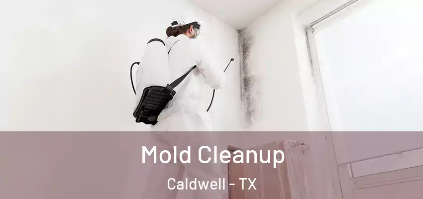  Mold Cleanup Caldwell - TX