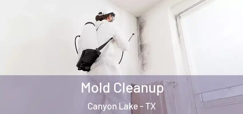  Mold Cleanup Canyon Lake - TX
