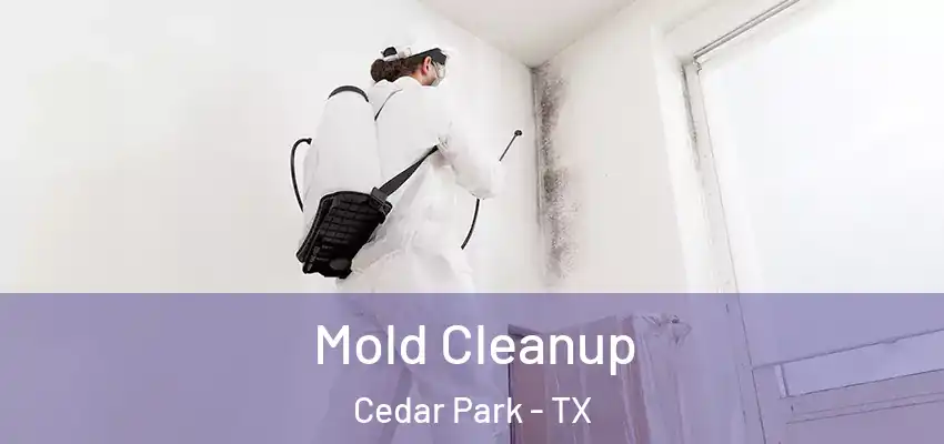 Mold Cleanup Cedar Park - TX