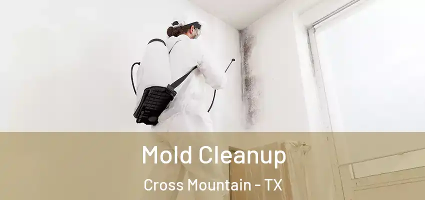 Mold Cleanup Cross Mountain - TX