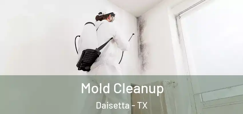  Mold Cleanup Daisetta - TX