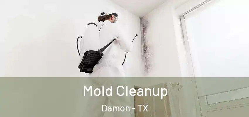 Mold Cleanup Damon - TX