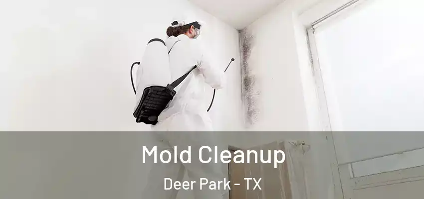  Mold Cleanup Deer Park - TX