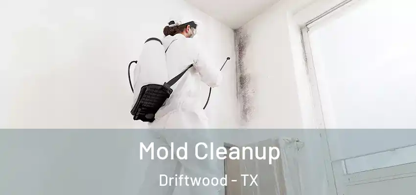  Mold Cleanup Driftwood - TX