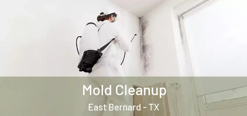 Mold Cleanup East Bernard - TX