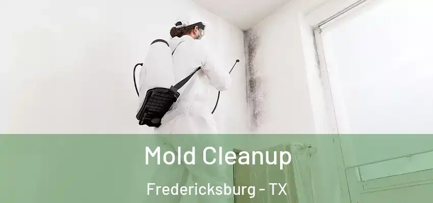  Mold Cleanup Fredericksburg - TX