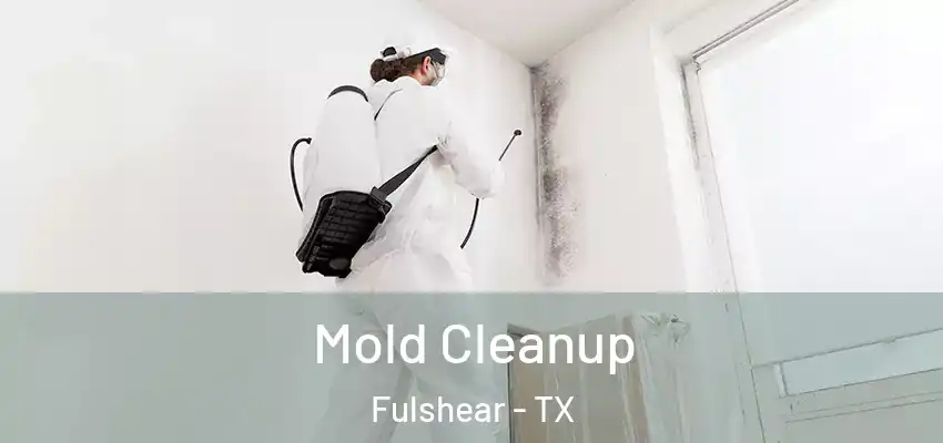  Mold Cleanup Fulshear - TX