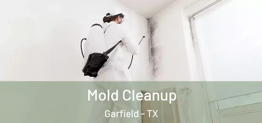  Mold Cleanup Garfield - TX