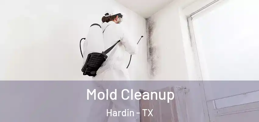  Mold Cleanup Hardin - TX